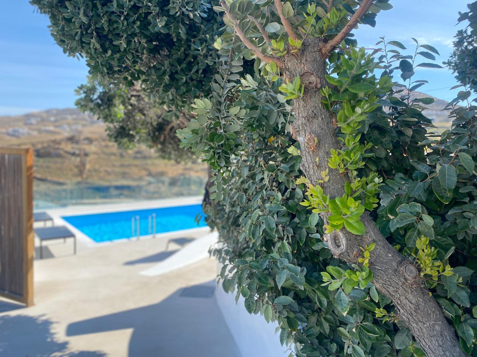 Ftelia Beach Paradise - Villa Irina'S Oasis מראה חיצוני תמונה